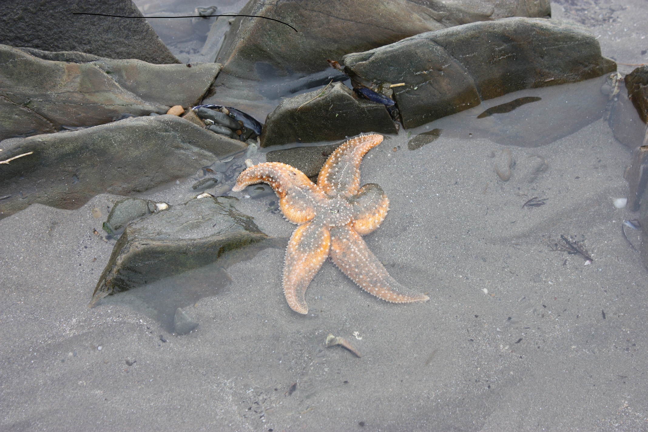 Holiday Cottage For Rent At Poppit Sands Pembrokeshire