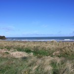 view of beach from lawn